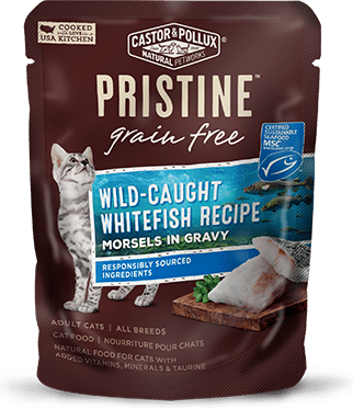 Pristine cat food reviews top
